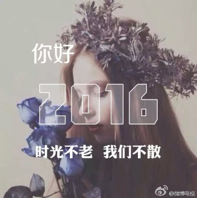 你好2016