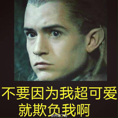 legolas 莱戈拉斯 orli 奥兰多布鲁姆 精灵王子表情