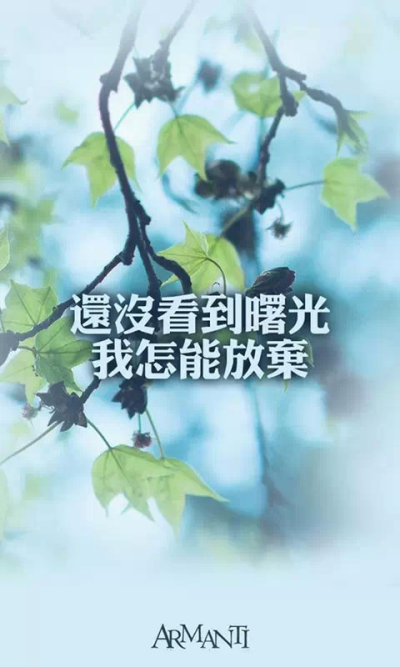 2016 请加油