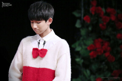 TFBOYS王源 151128 生日会 cr:Beginning始终站