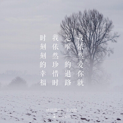 【音乐是解药】王力宏《依然爱你》歌词.文字壁纸.手机壁纸.聊天背景.