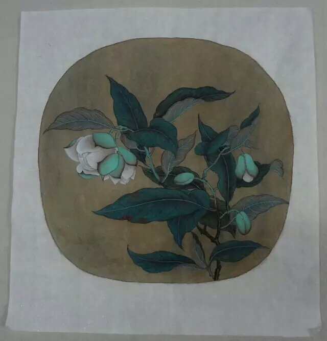 国画工笔仿宋花鸟夜合花图