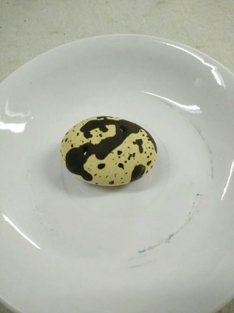 手绘石头～鹌鹑蛋