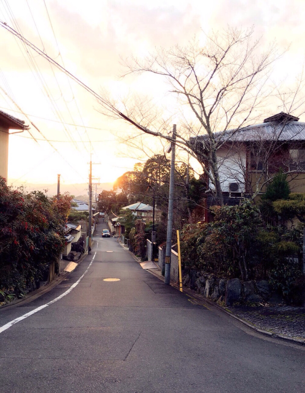 京都