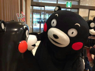 #kumamon#阿mon 你好~~~晚饭吃了吗~