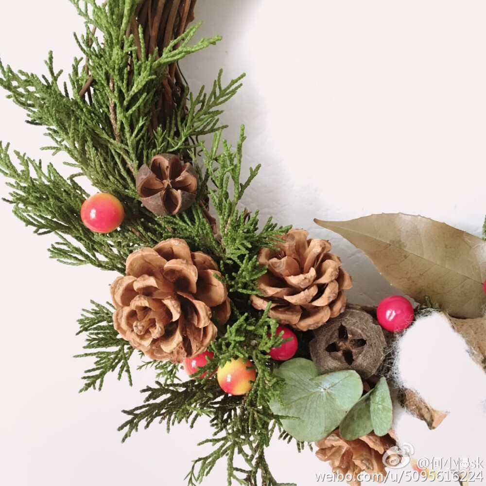 【花环】@何小慢