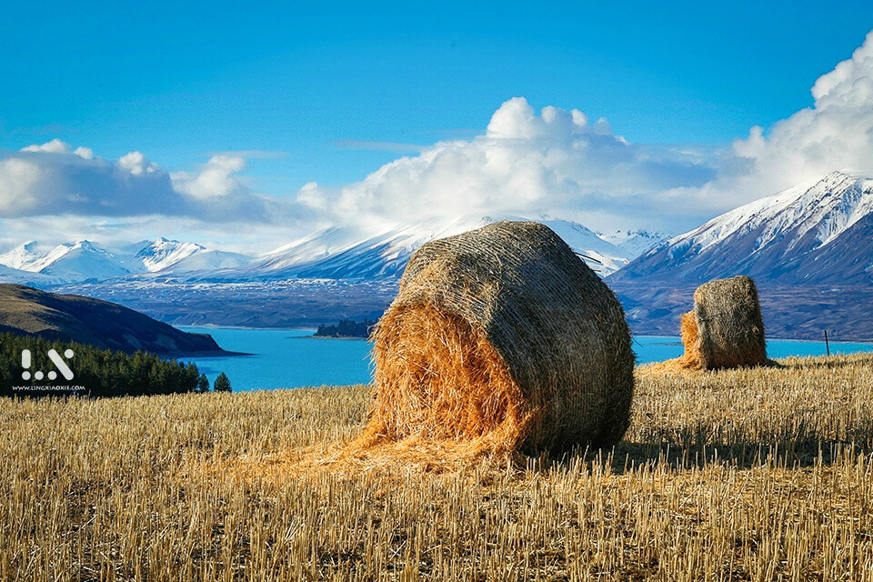 教堂，雪山，草垛，湖蓝，银河，星云。新西兰星空小镇，暗夜保护区Tekapo，只为追寻星辰大海。