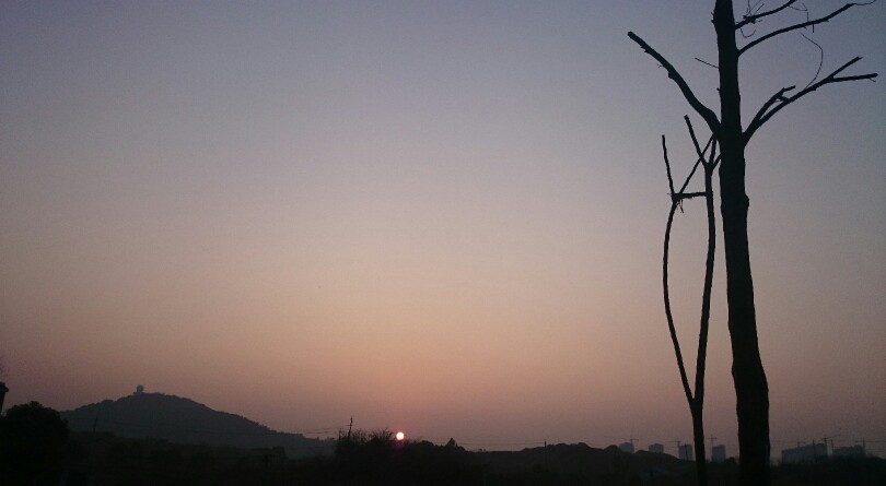 路上很喧闹，夕阳很安静