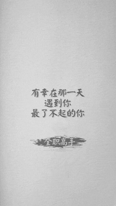 全职高手——有幸☆叶修，陈果