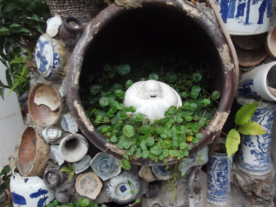 手机拍摄于福州芍园