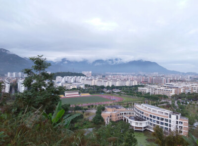 早晨爬上去学校山上，美美的吧。