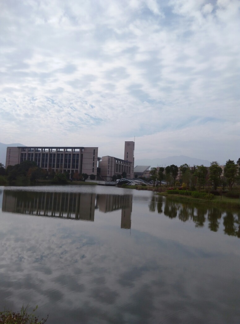 学校图书馆。一个奇妙的下午，说好的做实验，还是出来各种玩各种开心～