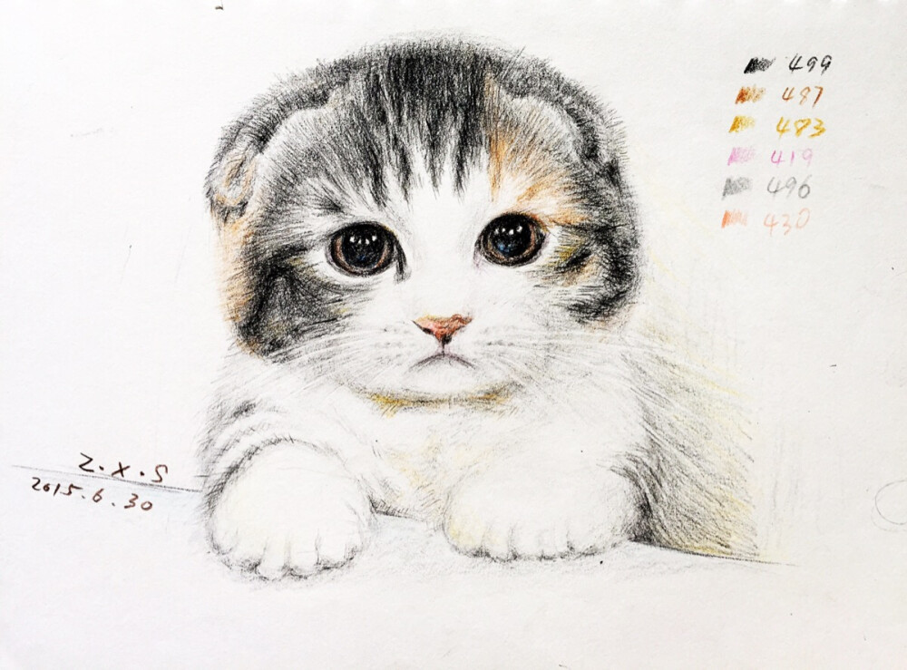 奶猫 喵 彩铅 彩铅画 彩铅猫咪 彩铅动物 绘画 原创 手绘 插画 插画师 作品 美术 艺术 文艺 画画 毛皮 睡觉 可爱 暖 铅笔 毛绒 大脸 猫 喵星人 菜菜小白 ZXS