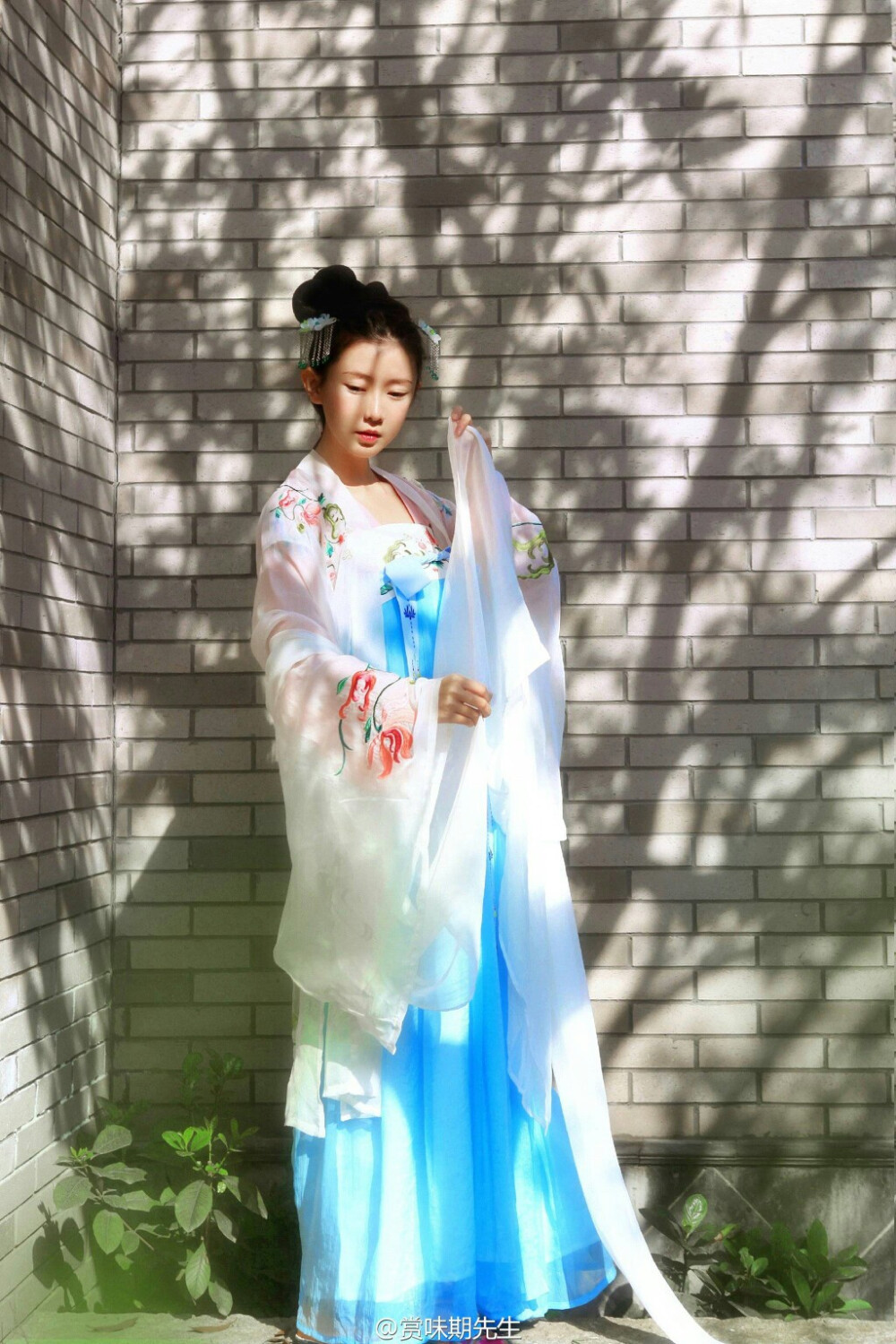 弥秋君，美人。