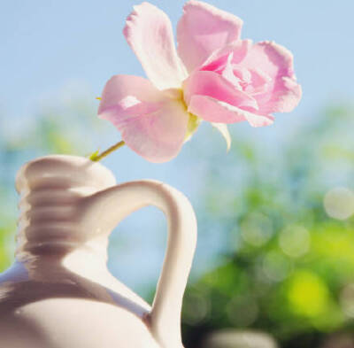 是花，还是果?嘿，它是花，也是果。花中有果，果中有花。它是甘香果子的花样年华，亦是娇羞花儿的果意生活。