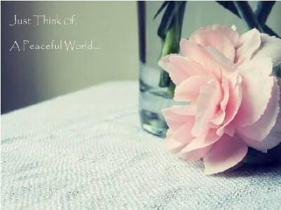 花儿终会凋零；即便是木棉花，也终有凋落枯萎的时候。但是，我心中的木棉花，正在静静地怒放着，永远也不会凋谢。