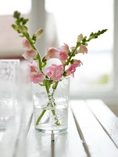 一花一世界。总以为牡丹，生在一个华美的世界，开得张扬，甚至一季的花，便能开出一世的荣耀，让人只能远观，却走不进那份富丽堂皇。