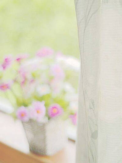 一场花开，一场相爱，穿过季节的长廊，幻化成一抹暗香，妖娆了每一个清晨与黄昏，芬芳了似水流年，唯美了