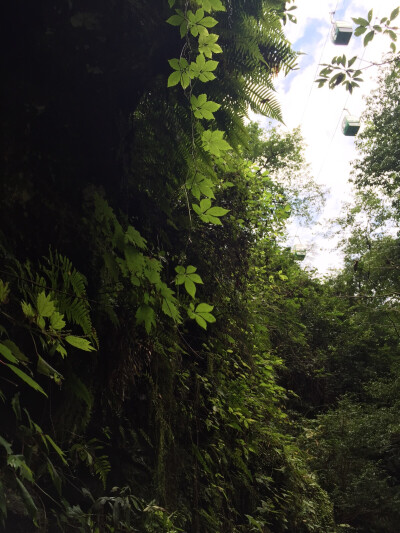 iPhone HDR拍的，无后期，井冈山