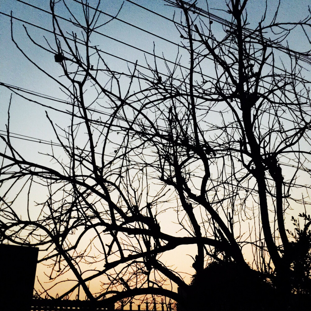 晚景