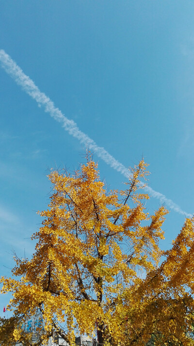 新情旧恨，日暖朝夕，人来人往。