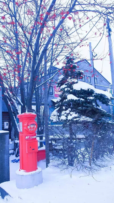 日本雪景