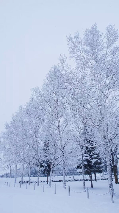 日本雪景