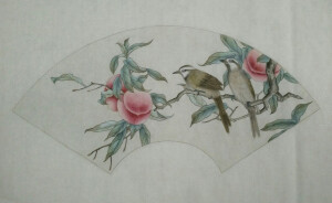 工笔扇面～果熟佳禽，淘宝店铺号:5352787