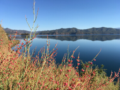 北京遇上泸沽湖