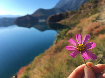 北京遇上泸沽湖