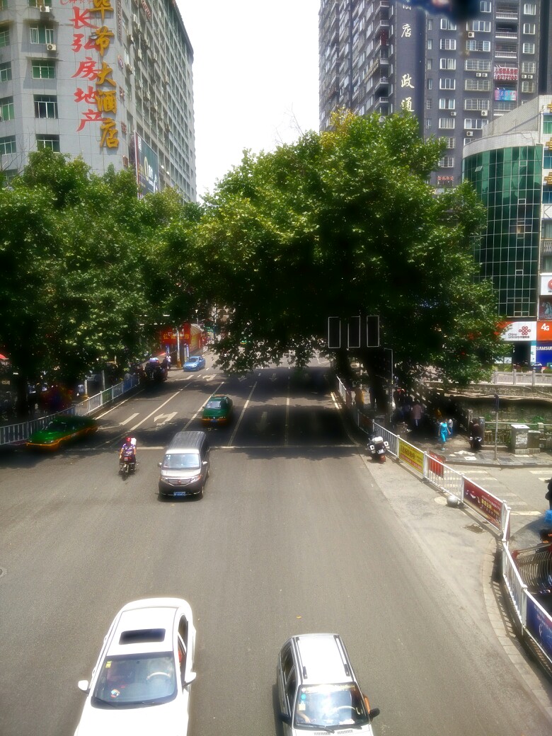 毕节 街景 车水马龙 绿树 