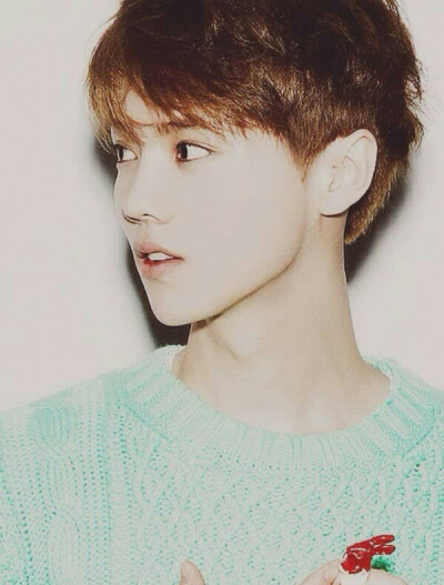 鹿晗 LU HAN