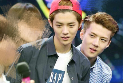 EXO 勋鹿 SEHUN LUHAN 鹿晗 吴世勋；