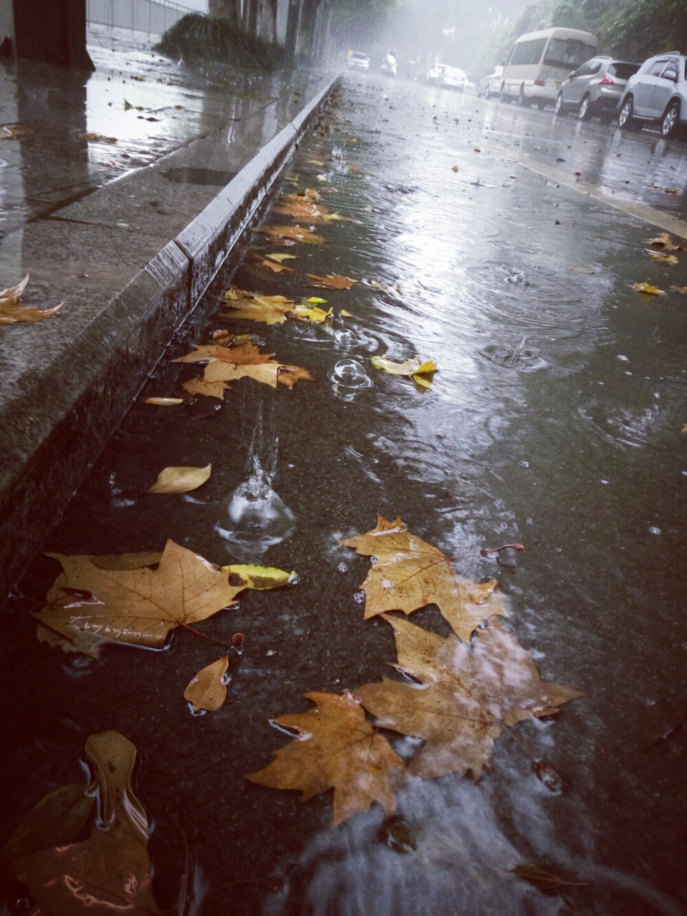 下雨天