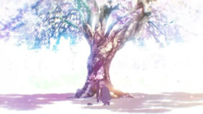 樱子小姐的脚下埋着尸体