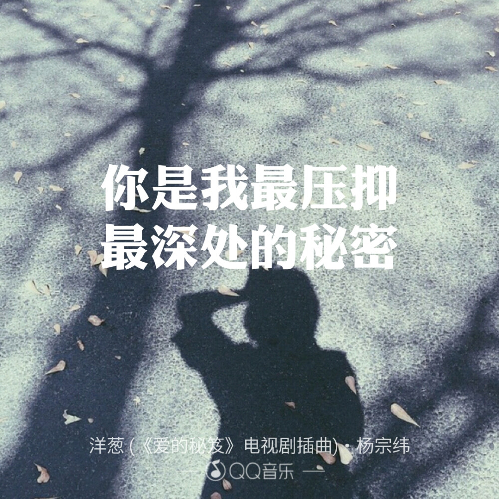 歌词.壁纸.键盘.洋葱.杨宗纬.