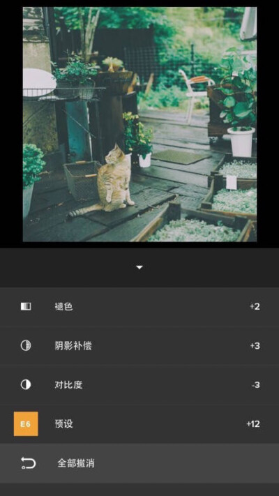 VSCO 森系 调色步骤：滤镜E6+12，对比度-3，阴影补偿+3，褪色+2。