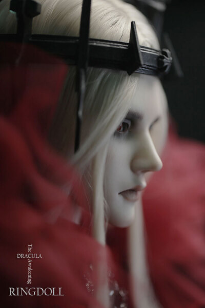 BJD RD
艺术 摄影 美少年 动漫 壁纸 头像