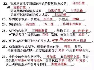 高一生物必修一复习重点 by青柚晗