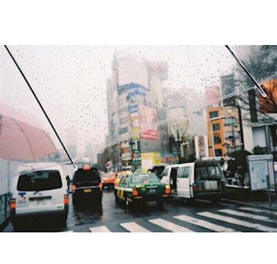 #萄离平庸#天黑的时候突然期待下起安静的雨