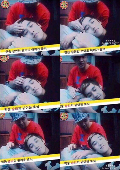 #东永裴##太阳##胜利##熊猫#