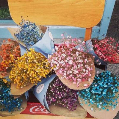 满天星的英文名字非常美：Baby's Breath