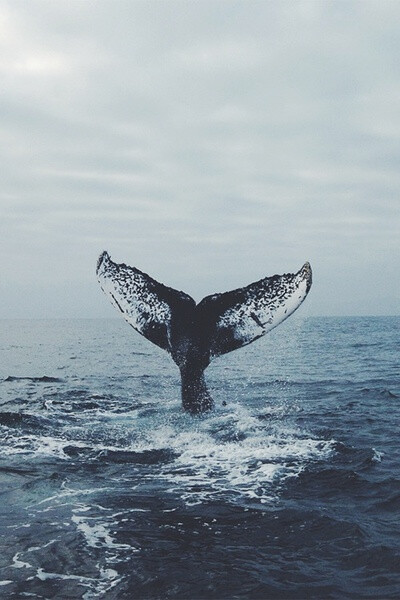 大海 天空 蓝色 壁纸 桌面 海水 海边 海浪 浪花