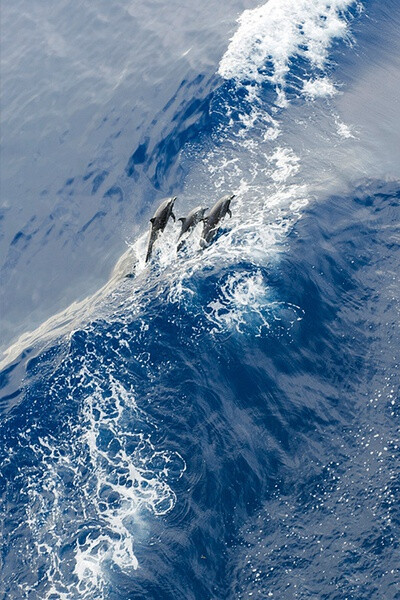 大海 天空 蓝色 壁纸 桌面 海水 海边 海浪 浪花