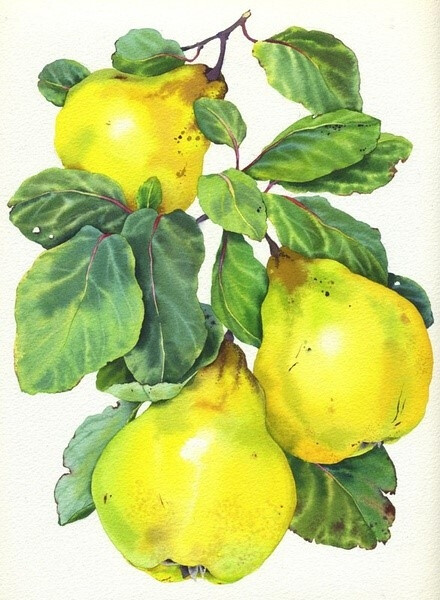 自有姿态与于风中