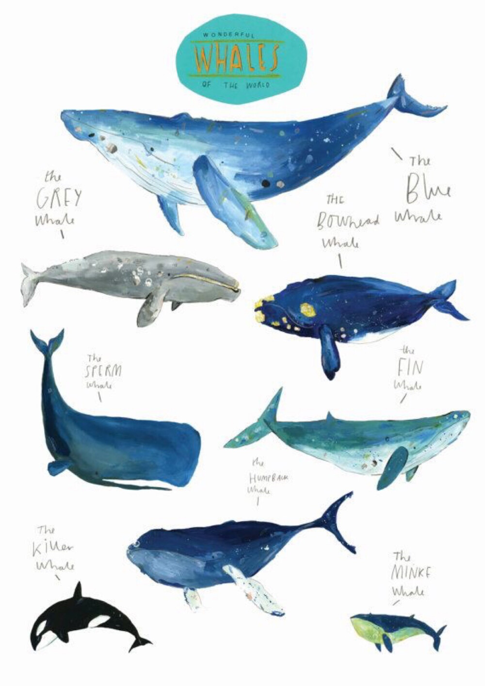 手绘海洋鲸