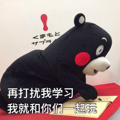 部长表情包 熊本熊 kumamon 熊本熊表情～ 期末专用！ 再打扰我学习，我就跟你们一起玩