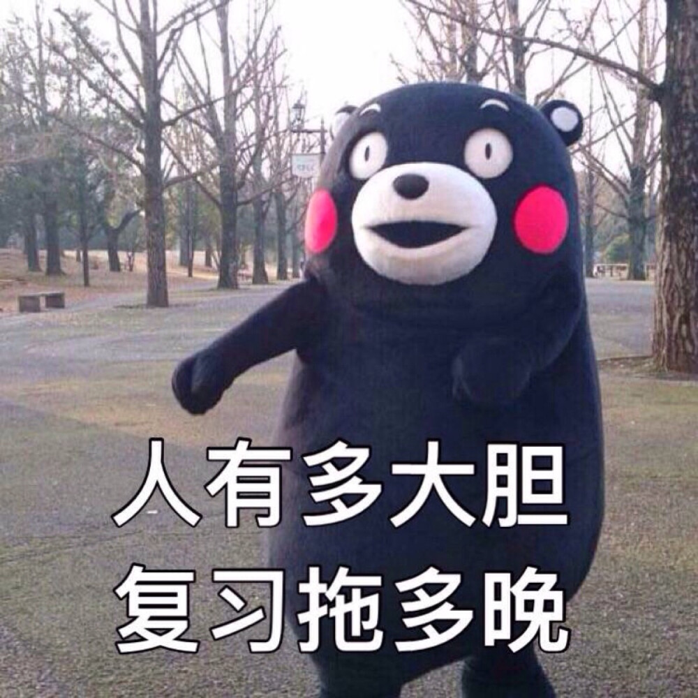 部长表情包 熊本熊 kumamon 熊本熊表情～ 期末～人有多大胆，复习拖多晚