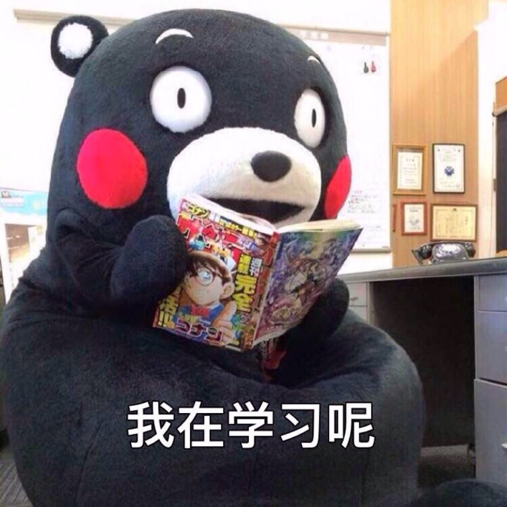 部长表情包 熊本熊 kumamon 熊本熊表情～ 我在学习呢～?(??????)