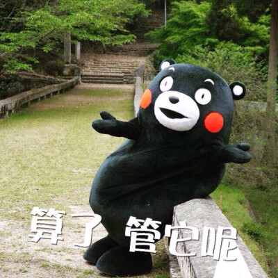 部长表情包 熊本熊 kumamon 熊本熊表情～ 算了，管他呢～